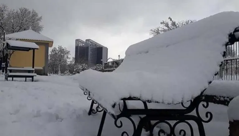 تحذير الديوان الوطني للأرصاد الجوية.. تساقط ثلوج كثيفة قد تتجاوز 25 سم في عدة ولايات جزائرية ابتداءً من هذا الموعد